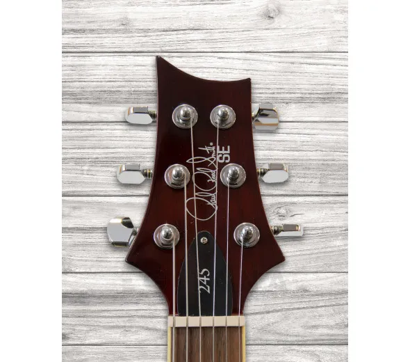 prs-se-245-standard-ts_6093cd9a115a4.webp