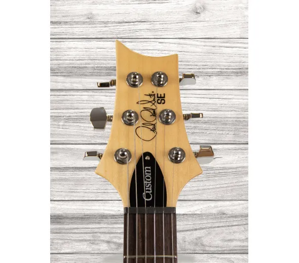prs-se-custom-22-semi-hollow-sy_609a6fee0bff4.webp