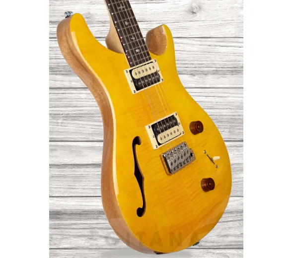 prs-se-custom-22-semi-hollow-sy_609a6fefdf04a.webp