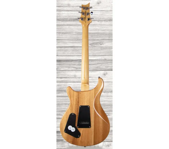 prs-se-custom-22-semi-hollow-sy_609a6ff0d9d5a.webp