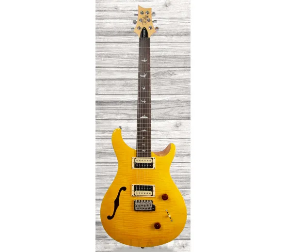 prs-se-custom-22-semi-hollow-sy_609a6ff2c78ab.webp