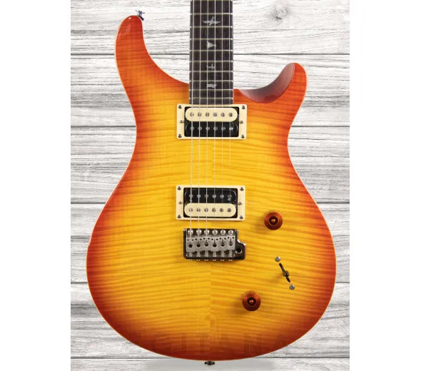 prs-se-custom-22-vs_609d08aaa9a93.webp