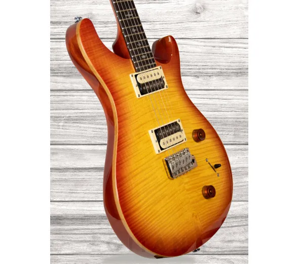 prs-se-custom-22-vs_609d08abe3644.webp