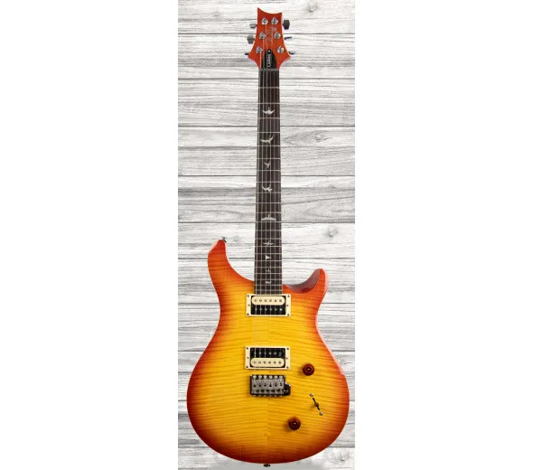 prs-se-custom-22-vs_609d08ad0f0a6.webp