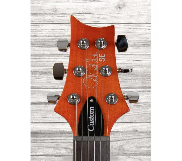 prs-se-custom-22-vs_609d08ae8c39b.webp