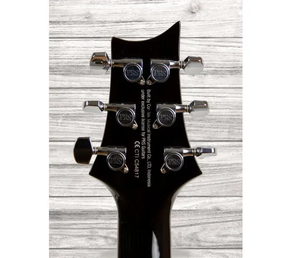 prs-se-custom-24-bg_6089282ec5536.webp