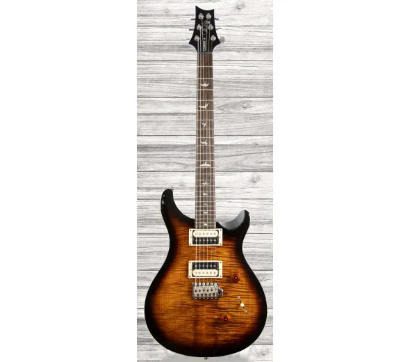 prs-se-custom-24-bg_6089282fc3bb9.webp