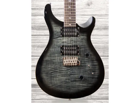 prs-se-custom-24-charcoal-burst_608847792e955.webp