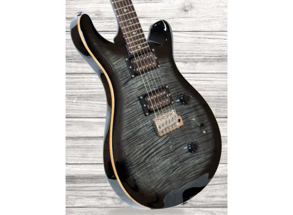 prs-se-custom-24-charcoal-burst_6088477a27817.webp