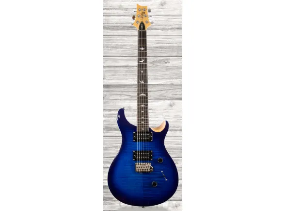 prs-se-custom-24-faded-blue-burst_60891a38361af.webp