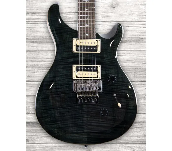prs-se-custom-24-floyd-gray-black_5fb688a79fe61.webp