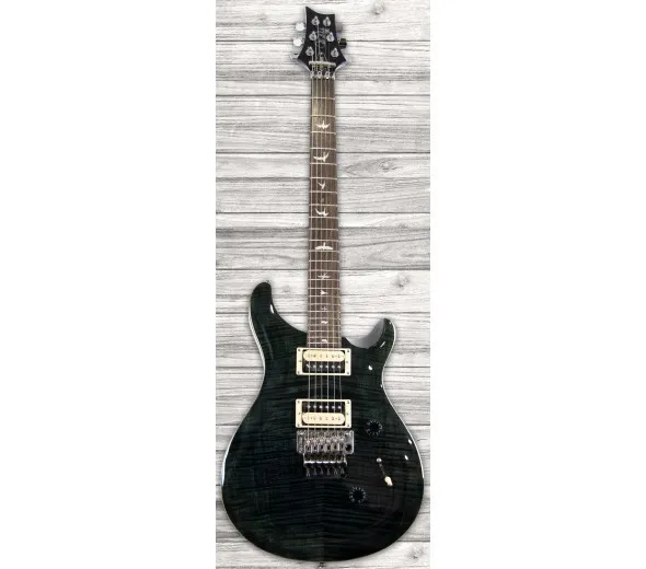 prs-se-custom-24-floyd-gray-black_5fb688abc9aa5.webp