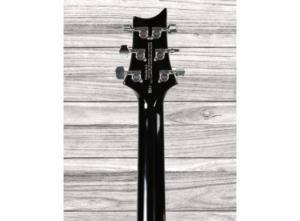 prs-se-custom-24-quilt-bg_65df524784e88.jpg