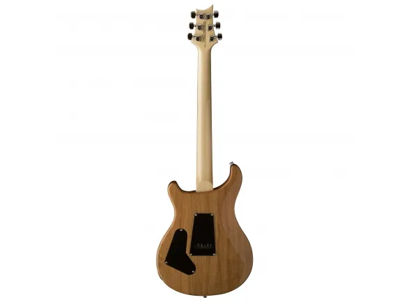 prs-se-custom-24-ts-2018_5c61a0d1b2192.webp