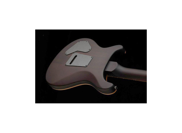 PRS  SE DGT MT Exotic LTD