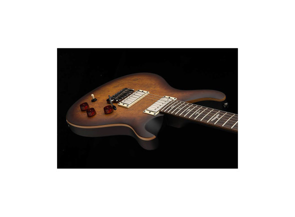 prs-se-dgt-mt-exotic-ltd_67f8f18f3979a.jpg