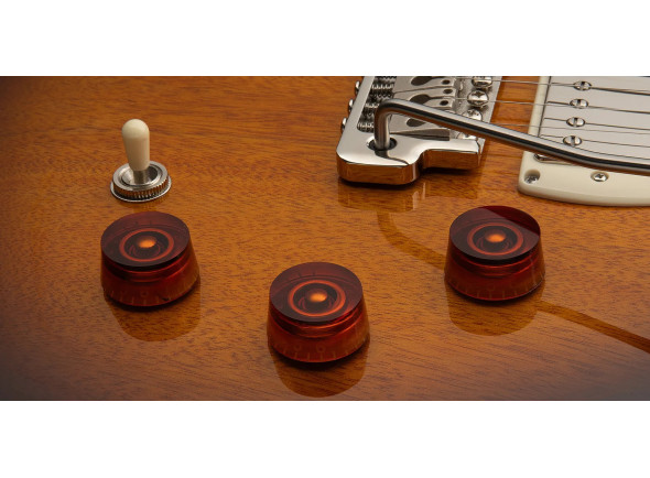 PRS SE DGT Standard Moons MTS