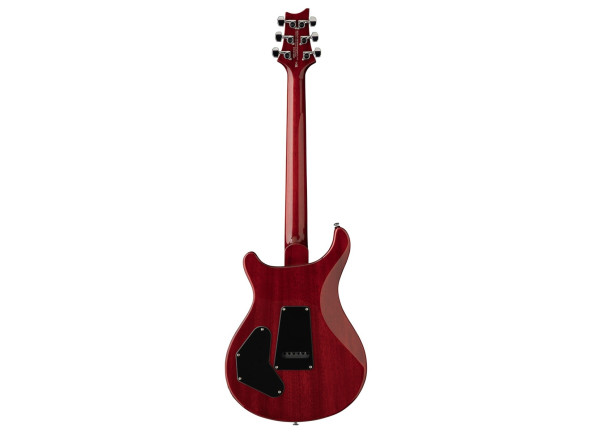 PRS SE DGT Standard Moons VC