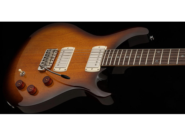prs-se-dgt-tobacco-sunburst_69cb94d1a3ef4.jpg