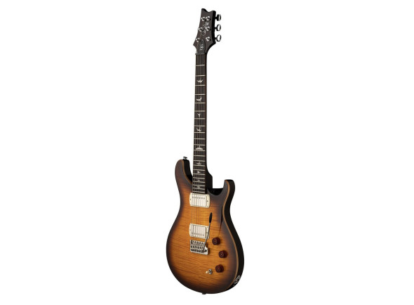 prs-se-dgt-tobacco-sunburst_69cb94dd91350.jpg