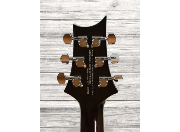 prs-se-hollowbody-ii-piezo-bg_60ccd3de9a4ce.webp