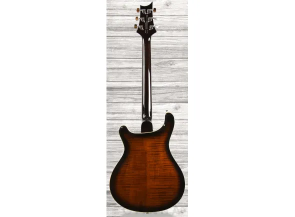 prs-se-hollowbody-ii-piezo-bg_60ccd3df7f6c1.webp