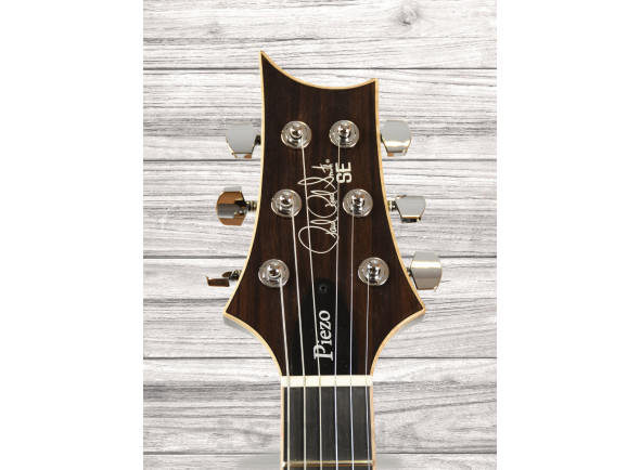 prs-se-hollowbody-ii-piezo-bg_60ccd3e3506c6.jpg