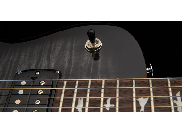 prs-se-mark-tremonti-charcoal-burst-2025_69bbec19ed803.jpg