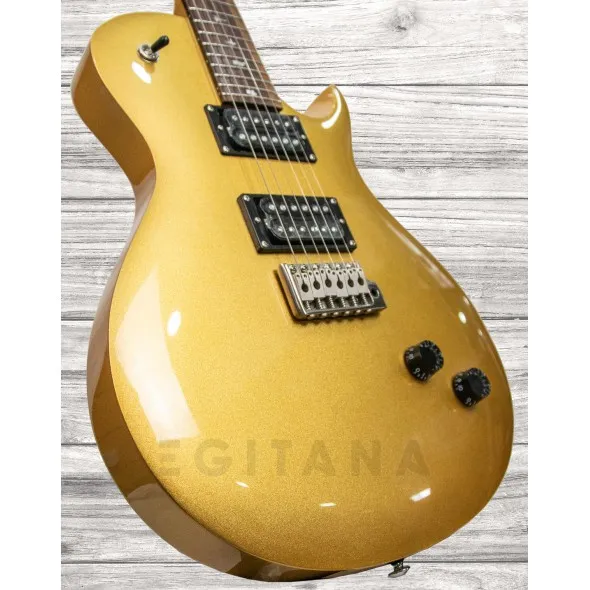 prs-se-santana-singlecut-trem-egyptian-gold_5f5a563d87c33.webp