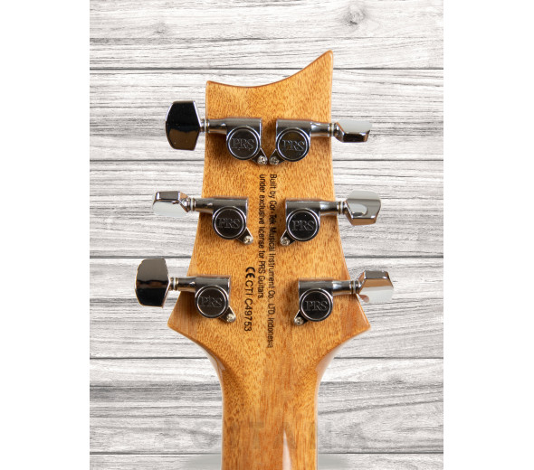 prs-se-santana-sy_60892eab6f714.jpg