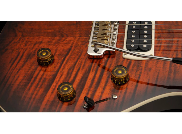 prs-se-special-semi-hollow-ots_698c60bc89fb7.jpg
