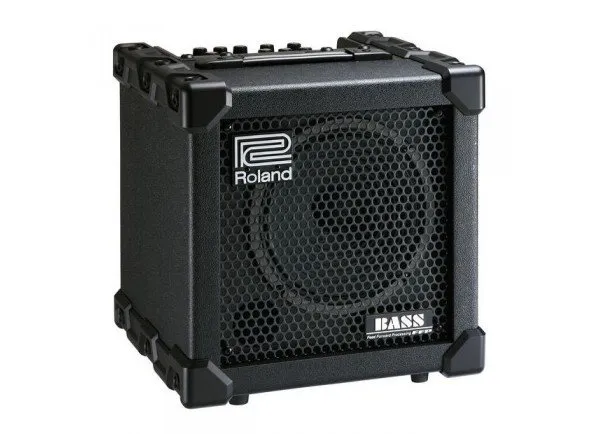 roland-cube-20xl_584e9b13cfe61.webp