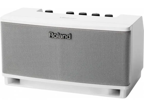 roland-cube-lite-monitor_598de45f5de18.webp