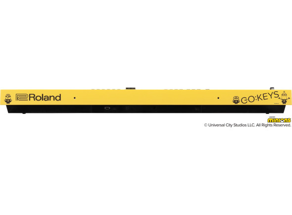 Roland GO:KEYS 3 MINION - INSPIRED BY ILLUMINATION’S MINIONS - Compra na Egitana em Portugal — Roland GO:KEYS 3 (imagem 2)