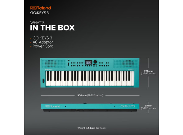 roland-gokeys-3-tq-turquoise-teclado-c-ritmos-tecnologia-zen-core_67d87ec77bf2d.jpg