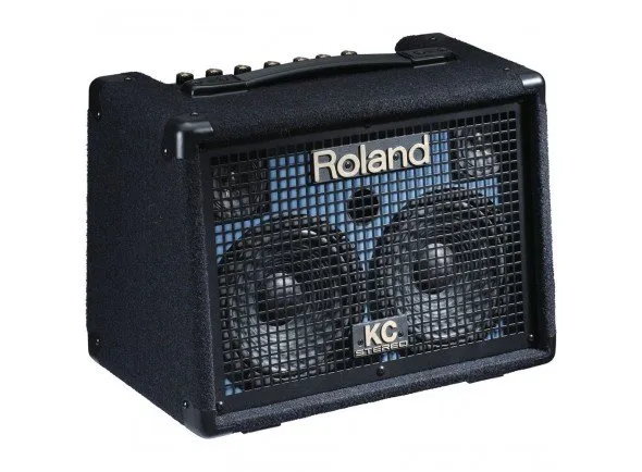 roland-kc-110-battery-powered_560a729fc1312.webp