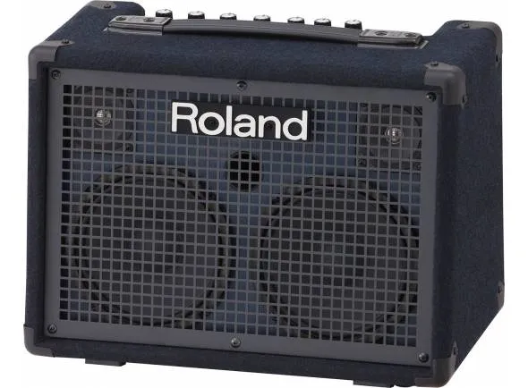 roland-kc-220_59f0b5e2190cd.webp