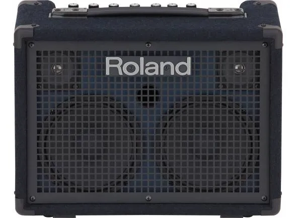 roland-kc-220_59f0b5e2aa5f2.webp