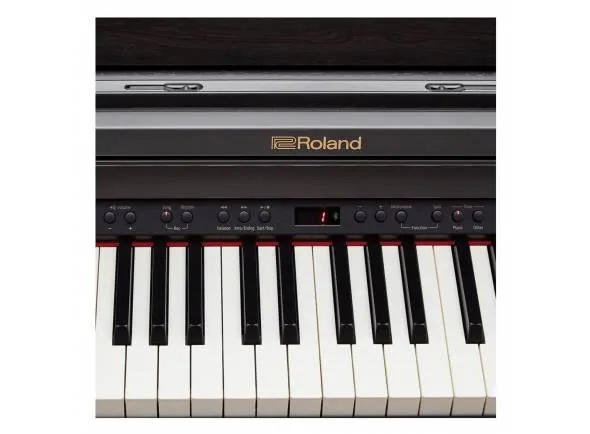 roland-rp-501r-cb_5981d55b1d120.webp