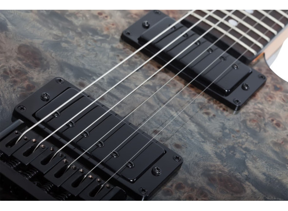 schecter-pt-standard-burl-black-fade-burst_6a4cd37fa24cc.jpg
