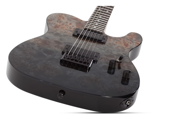 schecter-pt-standard-burl-black-fade-burst_6a4cd383b2313.jpg
