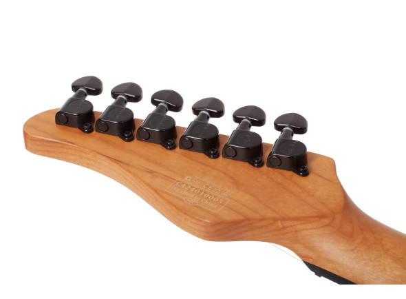 schecter-pt-standard-burl-black-fade-burst_6a4cd38da6462.jpg