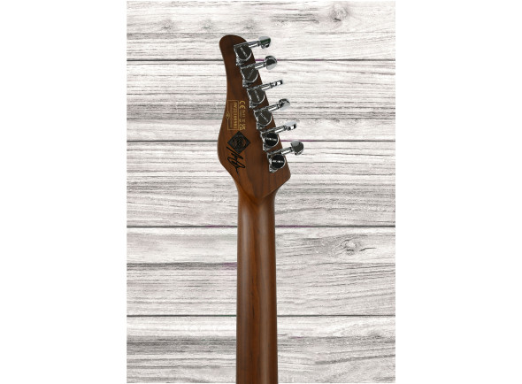 Schecter Signature Nick Johnston HSS AS