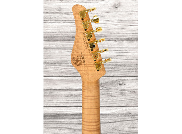 schecter-usa-custom-shop-cet-50th-anniversary-golden-anniversary-41-of-50_69982da3b88b7.jpg