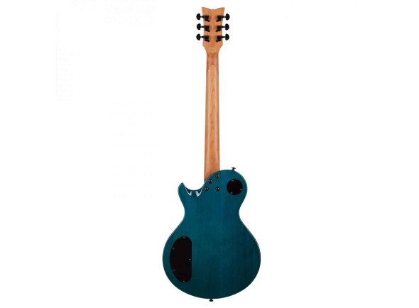 Schecter 