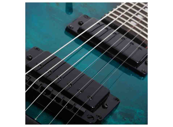 schecter_67b4a21cf0c1c.jpg