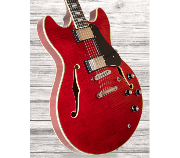 Sire   LARRY CARLTON H7 STR