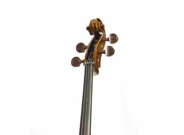 Stentor SR1102 Cello Student I 4/4