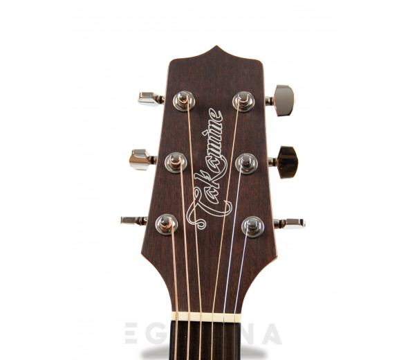 Takamine GD11M-NS