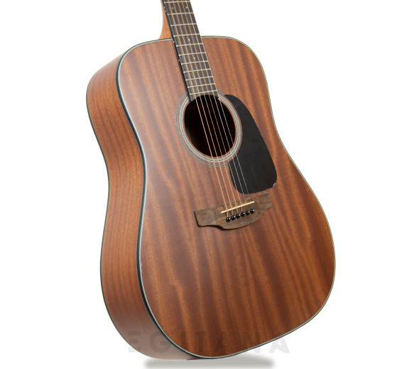 Takamine GD11M-NS